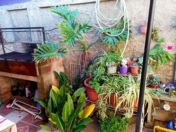 Imagen 4