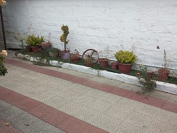 Imagen 6