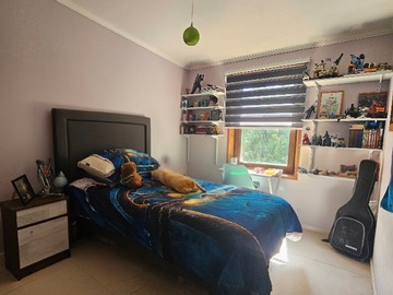 Imagen 7
