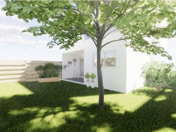 Imagen 6