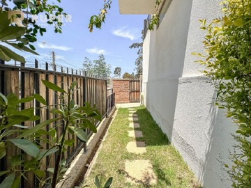 Imagen 19