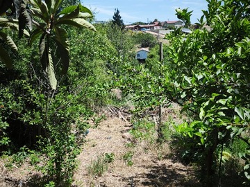 Imagen 11