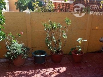 Imagen 20