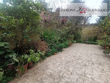 Imagen 30