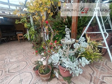 Imagen 32