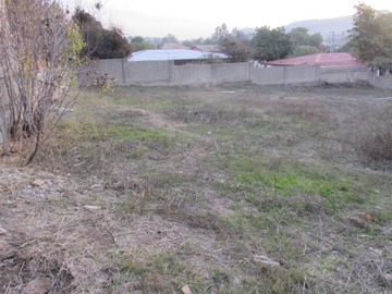 Imagen 24
