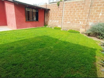Imagen 11