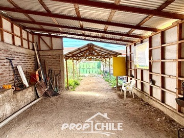 Imagen 16