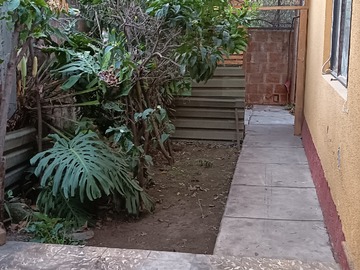 Imagen 5