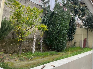 Imagen 17