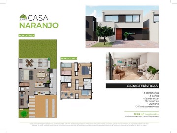 Imagen 11