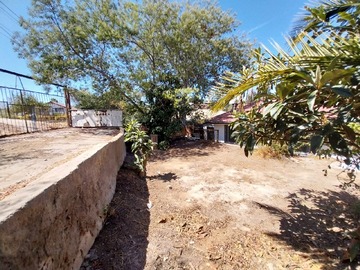Imagen 17