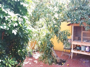 Imagen 20