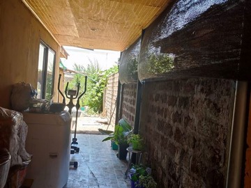 Imagen 6