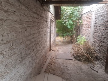 Imagen 5
