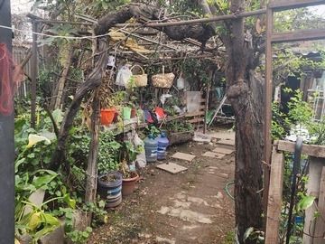 jardín posterior
