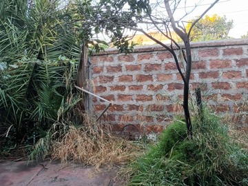 Imagen 11