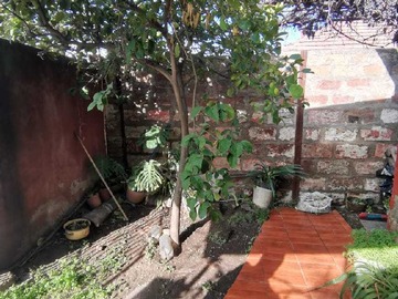 Imagen 16