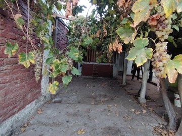 Imagen 9