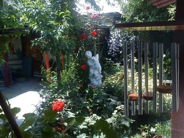 Imagen 2