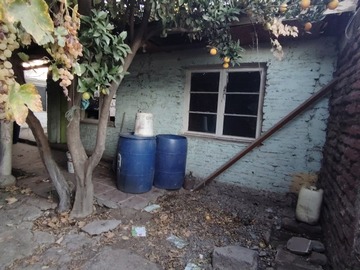 Imagen 11