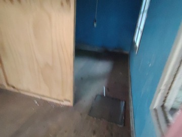 Imagen 5