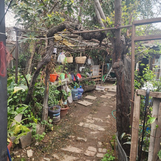 jardín posterior
