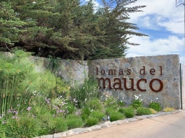 Imagen 21