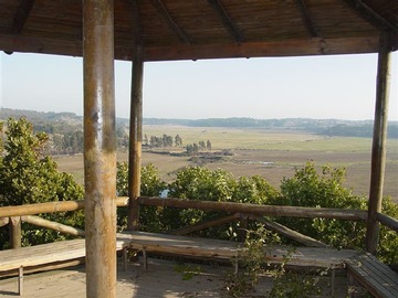 Imagen 12