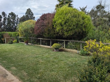 Imagen 6