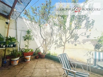 Imagen 12