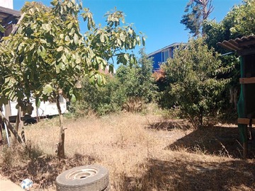 Imagen 13