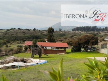Imagen 14