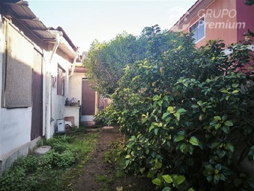 Imagen 6
