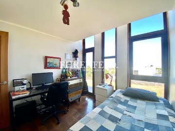Imagen 20