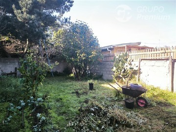 Imagen 14