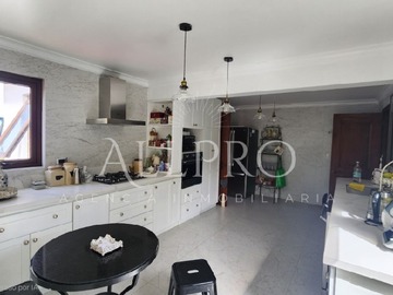 Imagen 8