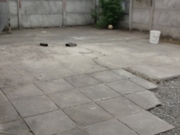 Imagen 8
