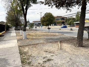 Imagen 7