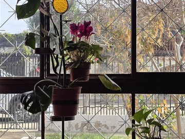 Venta / Casa / Rancagua