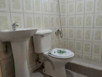 Imagen 6