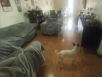 Imagen 8
