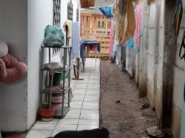 Imagen 5