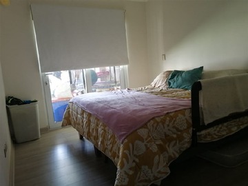Imagen 5