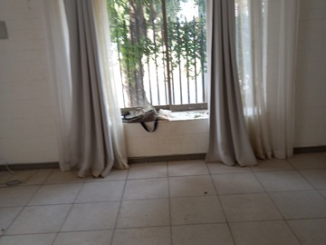 Imagen 9