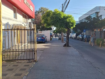 Imagen 24