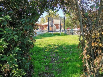 Imagen 9