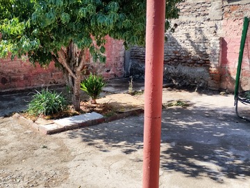 Imagen 8