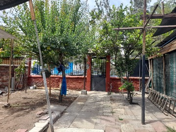 Imagen 21