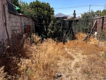 Imagen 6